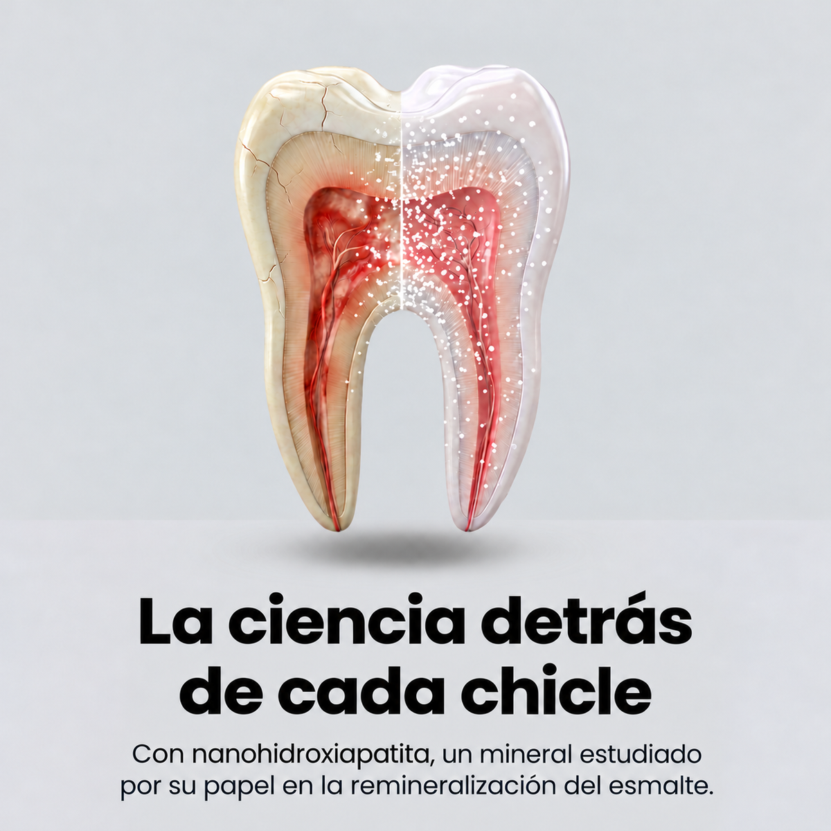 Zenviora I Chicle remineralizante